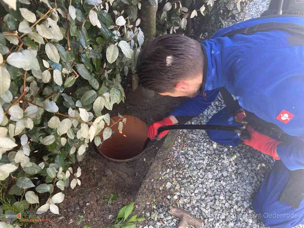 Rioolvliegjes Sintoedenrode Rioolvliegjes Sintoedenrode